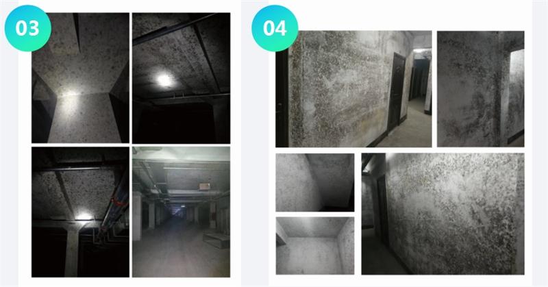 霉菌的溫床：地下車庫或儲藏室潮濕、滲漏...(圖2)