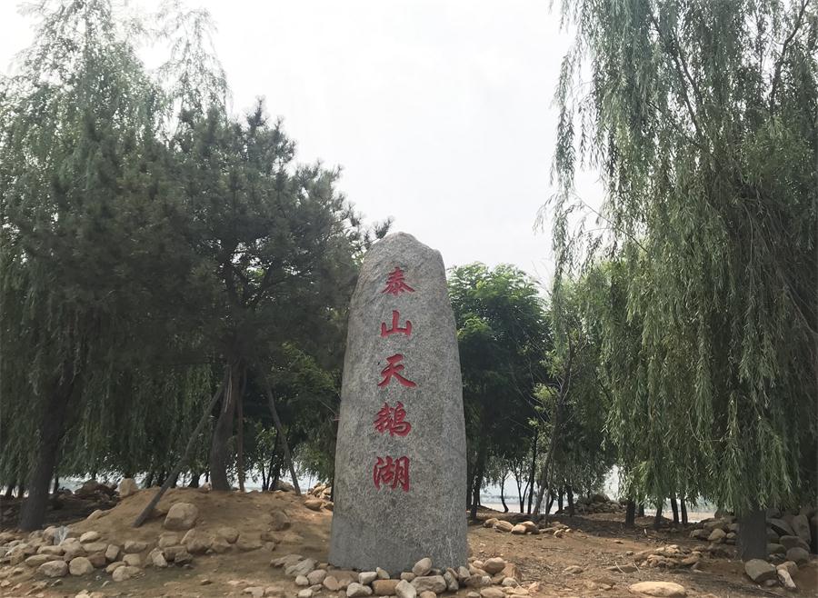 天鵝湖風(fēng)景區(qū)（泰山）速覽！(圖12)