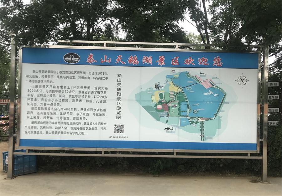 天鵝湖風(fēng)景區(qū)（泰山）速覽！(圖2)