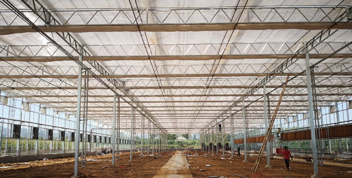 信橋鋼構(gòu)：打卡蒙陰農(nóng)業(yè)溫室大棚、青州黑牛養(yǎng)殖基地！(圖3)